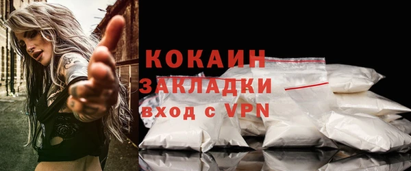шишки Балахна