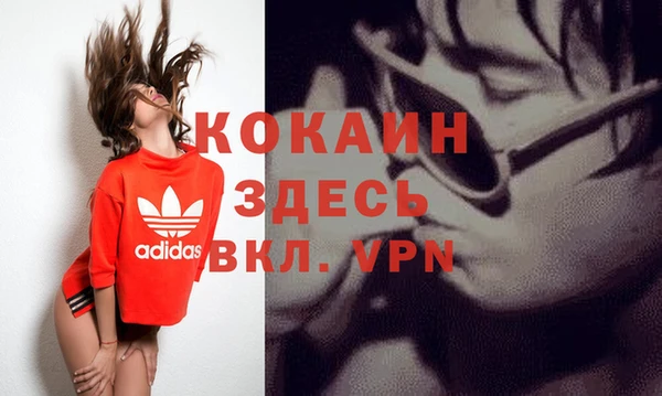 шишки Балахна