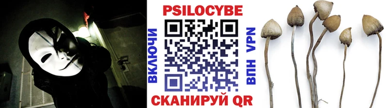 Псилоцибиновые грибы Psilocybe  сколько стоит  Суворов 